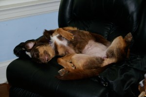 Emma on Chair 1 (Jun 25, 2006)