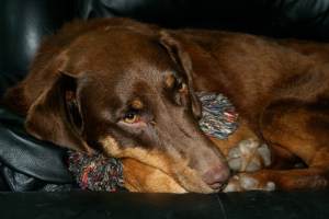 IMG_1211